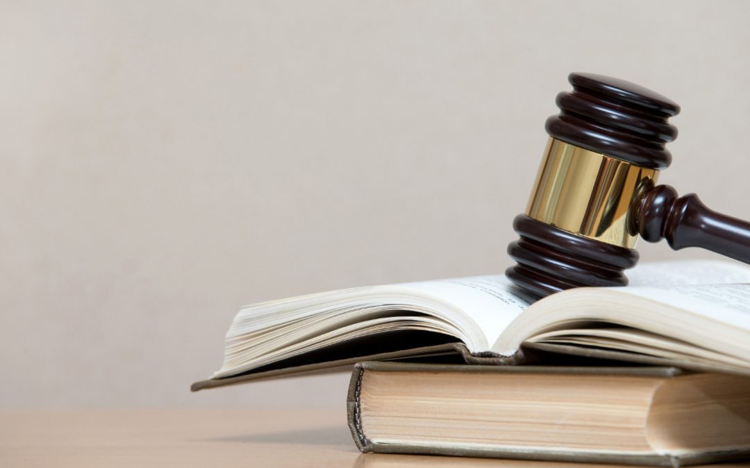 La protección del interés público en el derecho administrativo: un equilibrio delicado